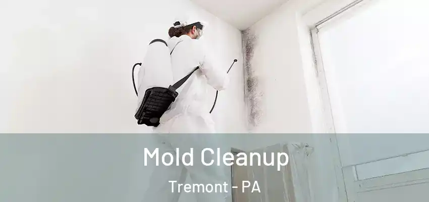 Mold Cleanup Tremont - PA