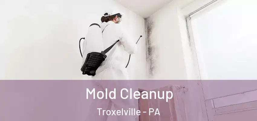 Mold Cleanup Troxelville - PA