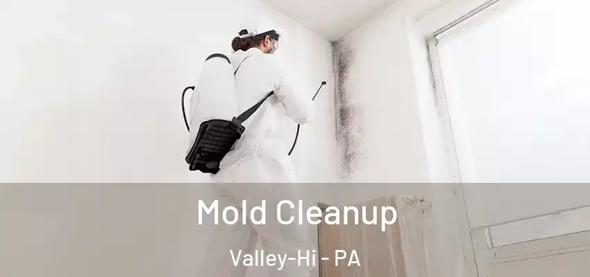 Mold Cleanup Valley-Hi - PA