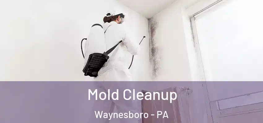 Mold Cleanup Waynesboro - PA