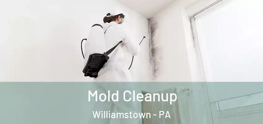 Mold Cleanup Williamstown - PA