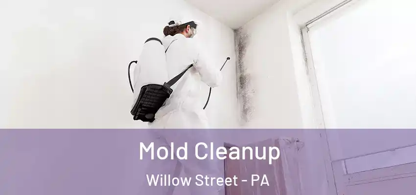 Mold Cleanup Willow Street - PA
