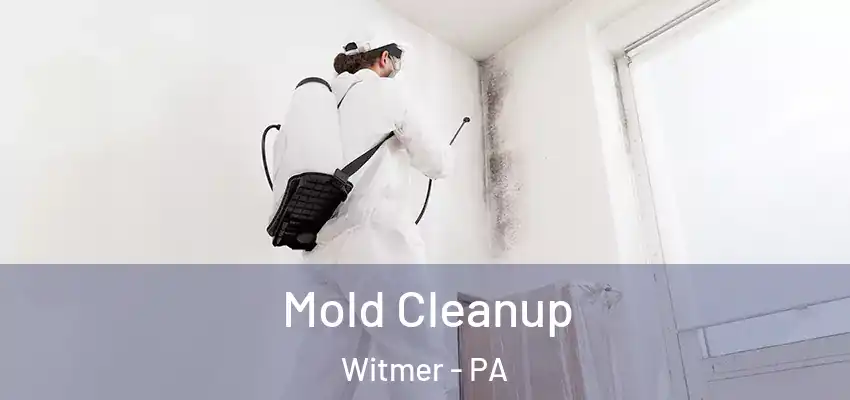 Mold Cleanup Witmer - PA