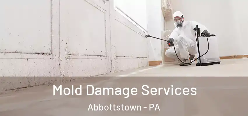  Mold Damage Services Abbottstown - PA