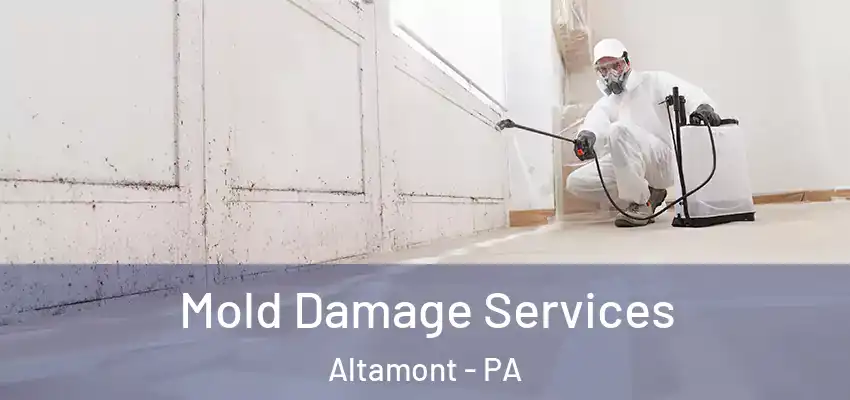 Mold Damage Services Altamont - PA