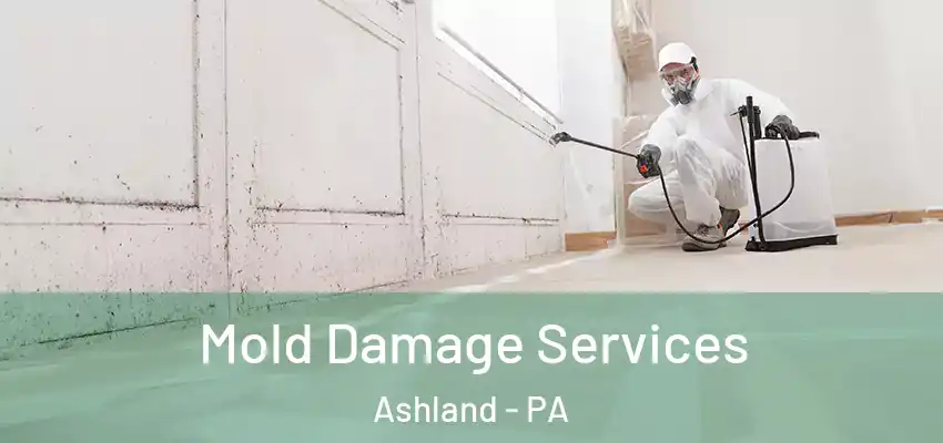 Mold Damage Services Ashland - PA