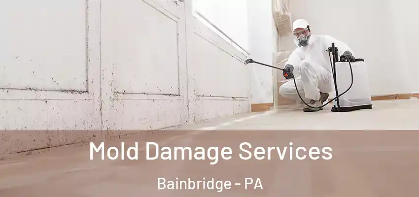  Mold Damage Services Bainbridge - PA
