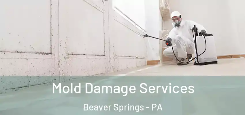 Mold Damage Services Beaver Springs - PA