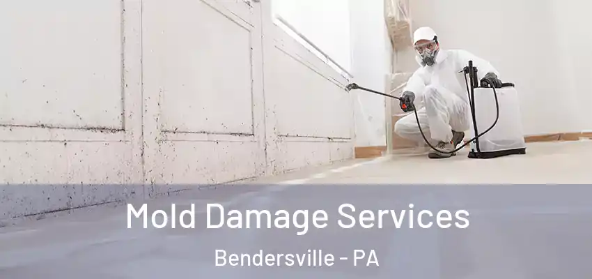  Mold Damage Services Bendersville - PA