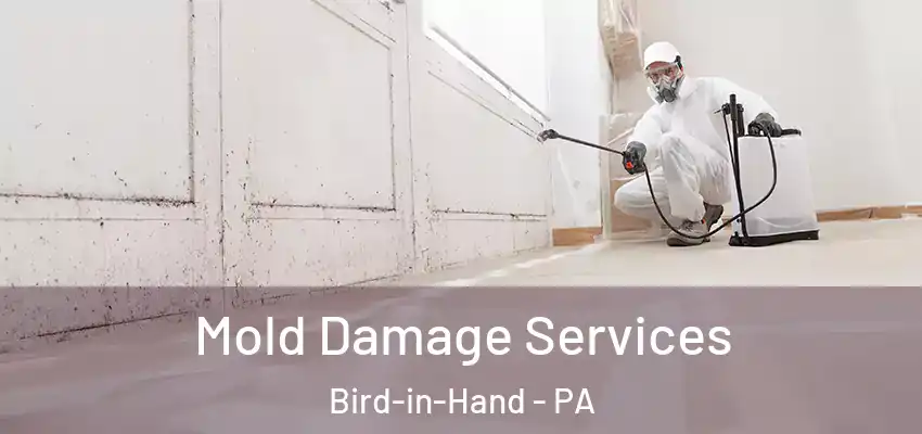 Mold Damage Services Bird-in-Hand - PA