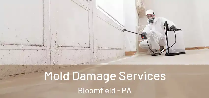  Mold Damage Services Bloomfield - PA