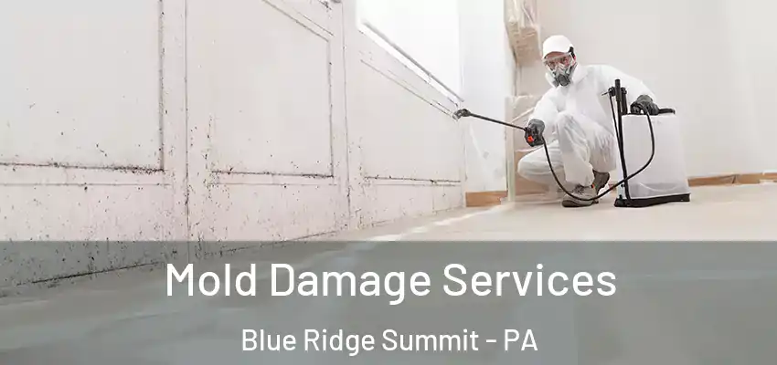 Mold Damage Services Blue Ridge Summit - PA