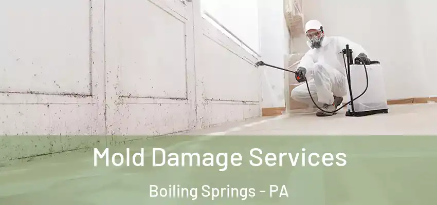 Mold Damage Services Boiling Springs - PA