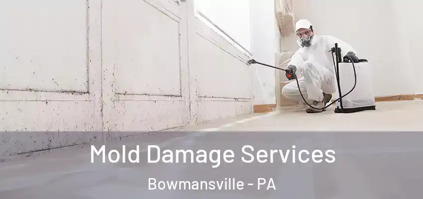 Mold Damage Services Bowmansville - PA