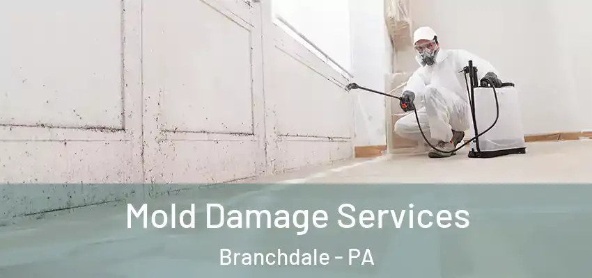 Mold Damage Services Branchdale - PA