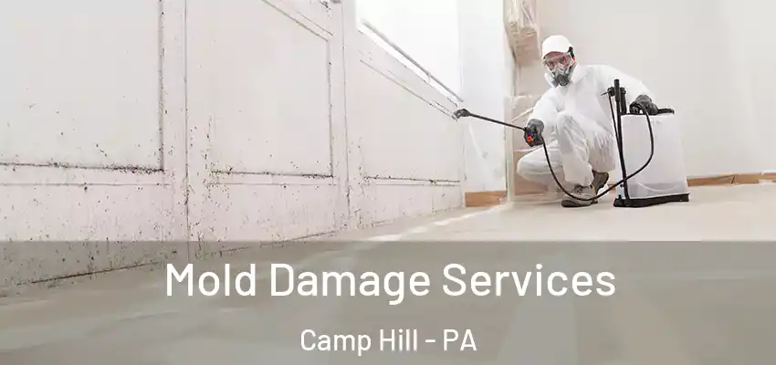  Mold Damage Services Camp Hill - PA