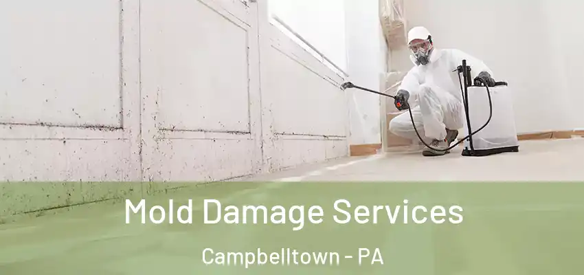Mold Damage Services Campbelltown - PA