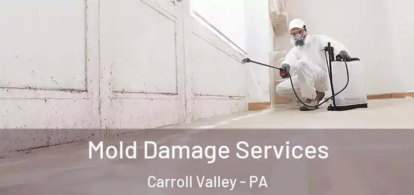 Mold Damage Services Carroll Valley - PA
