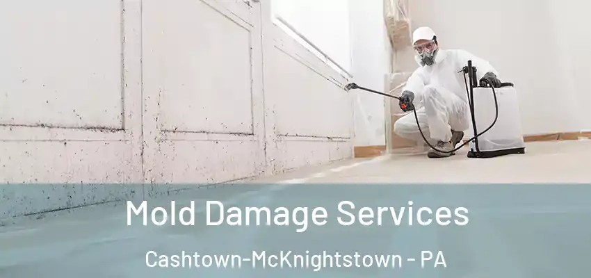  Mold Damage Services Cashtown-McKnightstown - PA