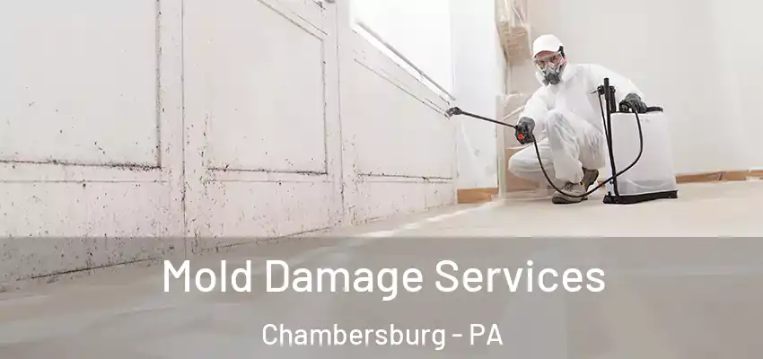 Mold Damage Services Chambersburg - PA