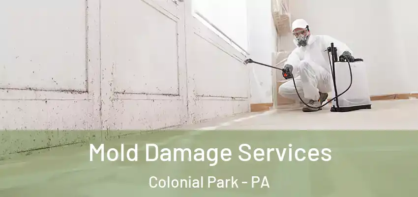 Mold Damage Services Colonial Park - PA