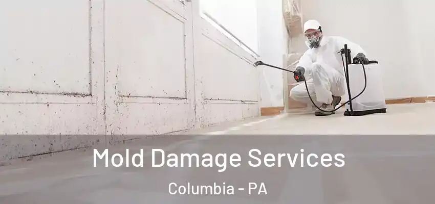 Mold Damage Services Columbia - PA