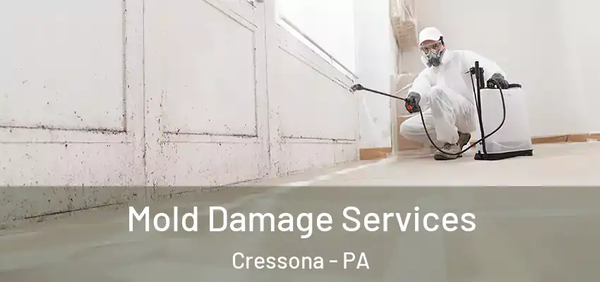 Mold Damage Services Cressona - PA