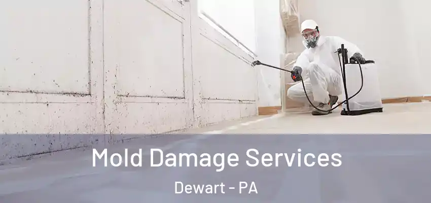  Mold Damage Services Dewart - PA