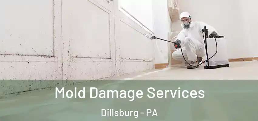  Mold Damage Services Dillsburg - PA