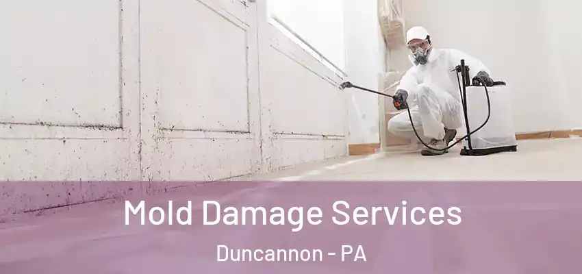 Mold Damage Services Duncannon - PA