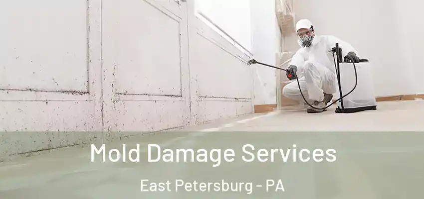 Mold Damage Services East Petersburg - PA