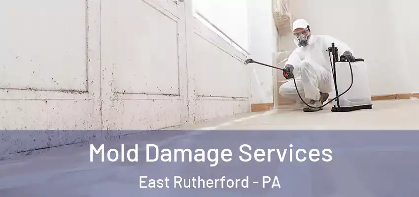 Mold Damage Services East Rutherford - PA