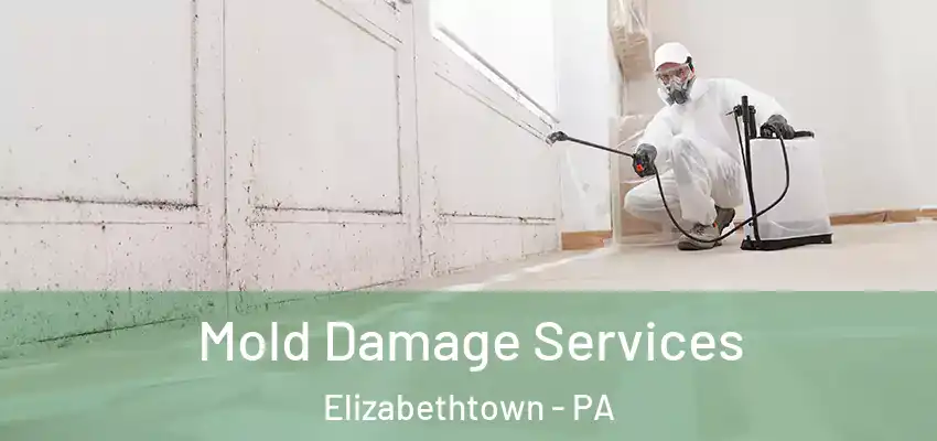 Mold Damage Services Elizabethtown - PA