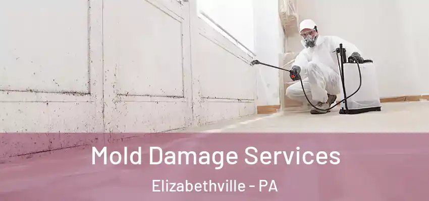  Mold Damage Services Elizabethville - PA