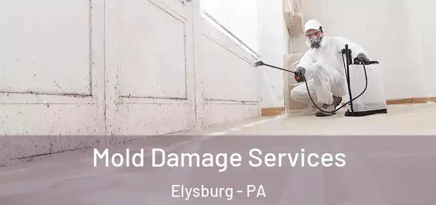  Mold Damage Services Elysburg - PA