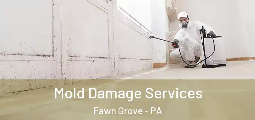 Mold Damage Services Fawn Grove - PA