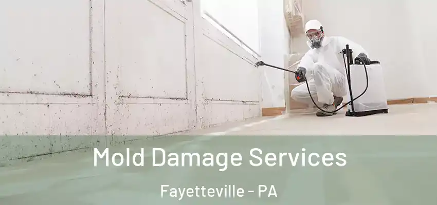 Mold Damage Services Fayetteville - PA