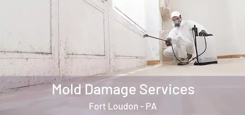 Mold Damage Services Fort Loudon - PA