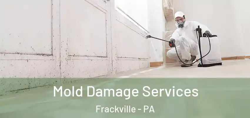 Mold Damage Services Frackville - PA