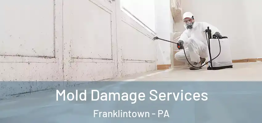  Mold Damage Services Franklintown - PA