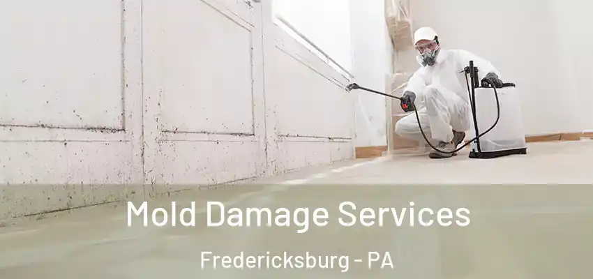Mold Damage Services Fredericksburg - PA