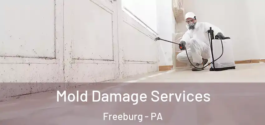 Mold Damage Services Freeburg - PA