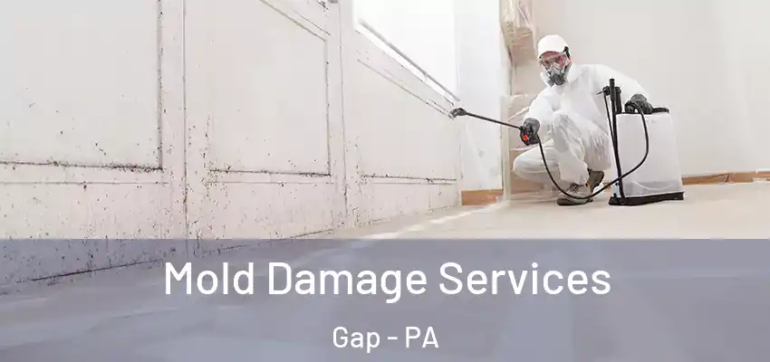 Mold Damage Services Gap - PA