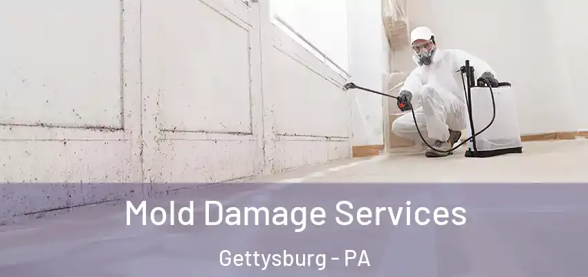Mold Damage Services Gettysburg - PA