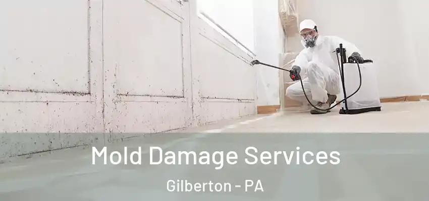 Mold Damage Services Gilberton - PA