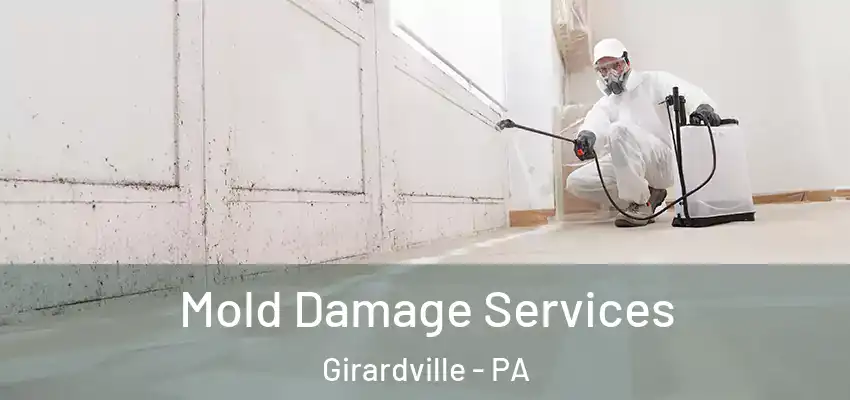  Mold Damage Services Girardville - PA