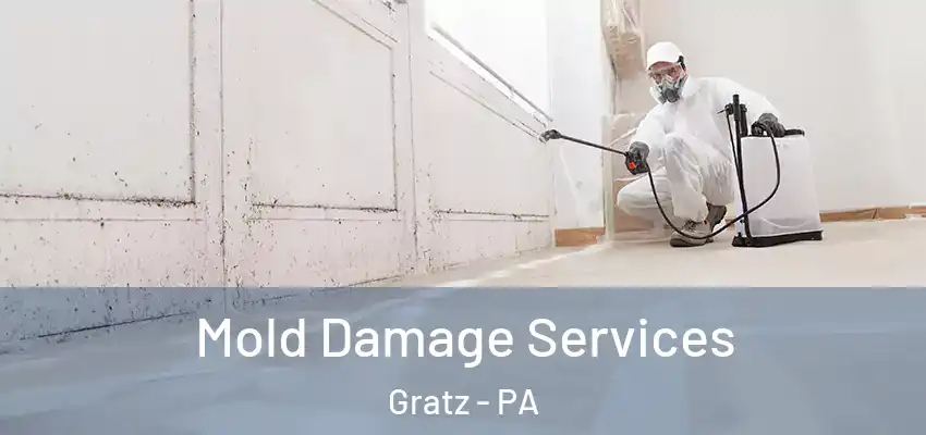  Mold Damage Services Gratz - PA