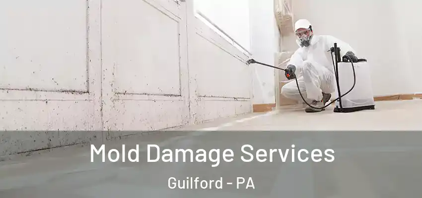  Mold Damage Services Guilford - PA