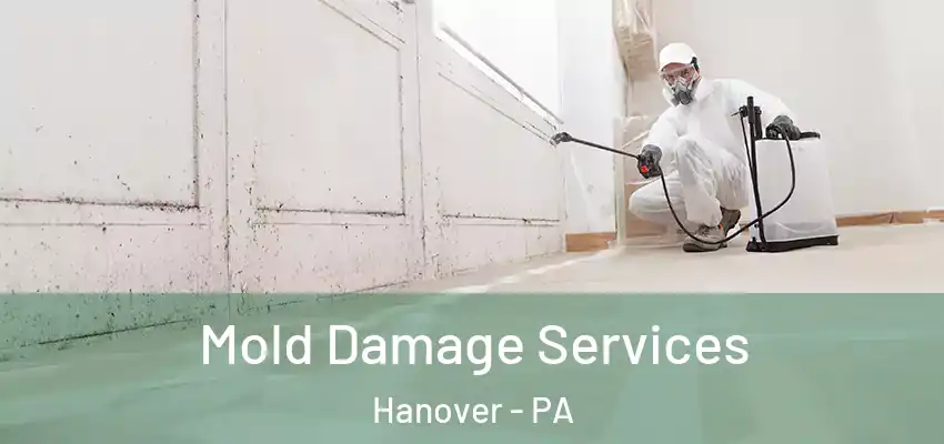 Mold Damage Services Hanover - PA