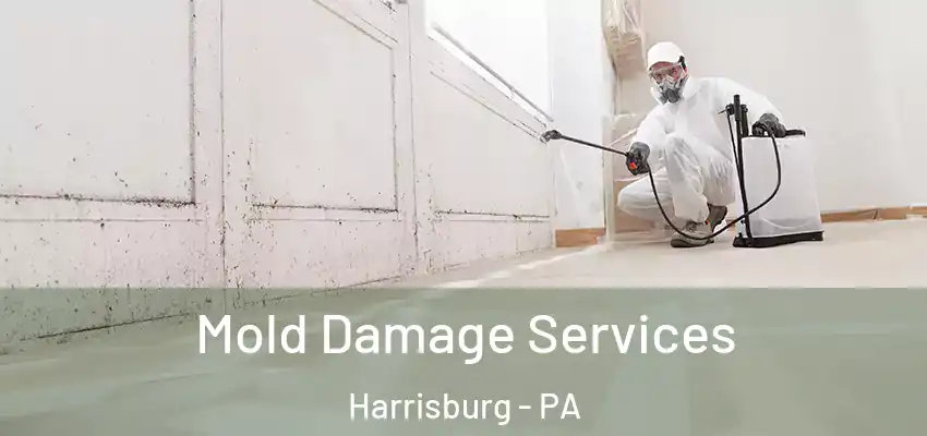 Mold Damage Services Harrisburg - PA